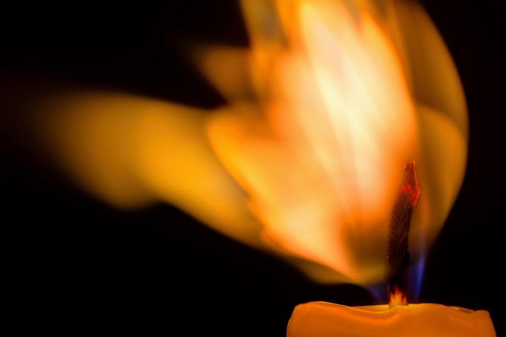 Platz 5 Daniela Korn